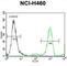 Fibrinogen Like 2 antibody, abx026100, Abbexa, Western Blot image 