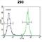 OTU Domain Containing 6B antibody, abx032623, Abbexa, Flow Cytometry image 