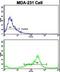 Valosin Containing Protein antibody, LS-B14259, Lifespan Biosciences, Flow Cytometry image 