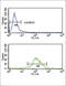 Tyrosine Aminotransferase antibody, abx034412, Abbexa, Flow Cytometry image 