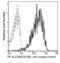 CD166 antibody, 90227-R018-P, Sino Biological, Flow Cytometry image 