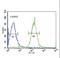 85 kDa calcium-independent phospholipase A2 antibody, LS-C163764, Lifespan Biosciences, Flow Cytometry image 