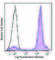 Lymphocyte antigen 6C2 antibody, 128033, BioLegend, Flow Cytometry image 