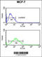 FKBP Prolyl Isomerase 4 antibody, 62-872, ProSci, Flow Cytometry image 