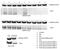 Phospholipase D Family Member 3 antibody, 17327-1-AP, Proteintech Group, Western Blot image 