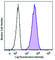 CD1c Molecule antibody, 371502, BioLegend, Flow Cytometry image 