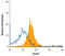 SMAD Family Member 3 antibody, MAB4038, R&D Systems, Flow Cytometry image 