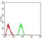 Keratin 5 antibody, NBP2-52443, Novus Biologicals, Flow Cytometry image 