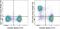 T-cell receptor beta chain V region 86T1 antibody, 67-5961-82, Invitrogen Antibodies, Flow Cytometry image 