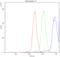 Nuclear Factor Of Activated T Cells 3 antibody, A02727-2, Boster Biological Technology, Flow Cytometry image 