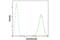 Calreticulin antibody, 12238S, Cell Signaling Technology, Flow Cytometry image 