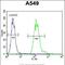 Tyrosyl-DNA Phosphodiesterase 2 antibody, PA5-35039, Invitrogen Antibodies, Flow Cytometry image 