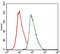 CCAAT Enhancer Binding Protein Alpha antibody, GTX60578, GeneTex, Flow Cytometry image 