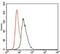 Vav Guanine Nucleotide Exchange Factor 1 antibody, MA5-17198, Invitrogen Antibodies, Flow Cytometry image 