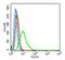 CAMP Responsive Element Binding Protein 1 antibody, orb10462, Biorbyt, Flow Cytometry image 