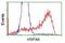Heat Shock Protein Family A (Hsp70) Member 6 antibody, NBP2-03076, Novus Biologicals, Flow Cytometry image 