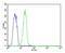 Keratin 12 antibody, PA5-71744, Invitrogen Antibodies, Flow Cytometry image 