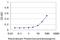 Netrin G2 antibody, H00084628-M01, Novus Biologicals, Enzyme Linked Immunosorbent Assay image 