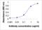 Apolipoprotein B antibody, XW-7038, ProSci, Enzyme Linked Immunosorbent Assay image 