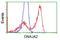 DnaJ Heat Shock Protein Family (Hsp40) Member A2 antibody, LS-C115630, Lifespan Biosciences, Flow Cytometry image 