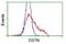 Destrin, Actin Depolymerizing Factor antibody, NBP2-00527, Novus Biologicals, Flow Cytometry image 