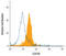 C-Type Lectin Domain Family 4 Member D antibody, AF2806, R&D Systems, Flow Cytometry image 