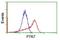 Protein Tyrosine Kinase 7 (Inactive) antibody, NBP2-01486, Novus Biologicals, Flow Cytometry image 