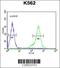 Testis Expressed 13B antibody, 55-494, ProSci, Flow Cytometry image 