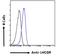 Luteinizing Hormone/Choriogonadotropin Receptor antibody, LS-C55059, Lifespan Biosciences, Flow Cytometry image 