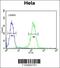 Cyclin H antibody, 55-521, ProSci, Immunofluorescence image 