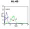 Lipase E, Hormone Sensitive Type antibody, LS-C165793, Lifespan Biosciences, Flow Cytometry image 