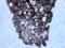 Keratin 17 antibody, BSH-7311-1, Petra Hansson, Immunohistochemistry frozen image 