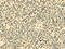 Endothelin-converting enzyme 2 antibody, CSB-PA160915, Cusabio, Immunohistochemistry paraffin image 