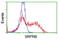 SRP Receptor Subunit Beta antibody, LS-C173924, Lifespan Biosciences, Flow Cytometry image 