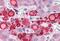 Perilipin 2 antibody, MBS244946, MyBioSource, Immunohistochemistry paraffin image 