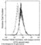 Triggering Receptor Expressed On Myeloid Cells 1 antibody, 10511-MM02, Sino Biological, Flow Cytometry image 