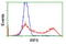 Interferon Regulatory Factor 6 antibody, LS-C173202, Lifespan Biosciences, Flow Cytometry image 