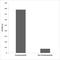 Component Of Inhibitor Of Nuclear Factor Kappa B Kinase Complex antibody, LS-C286260, Lifespan Biosciences, Enzyme Linked Immunosorbent Assay image 