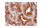 CD63 Molecule antibody, 55051S, Cell Signaling Technology, Immunohistochemistry paraffin image 