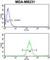 Mtr4 Exosome RNA Helicase antibody, abx034085, Abbexa, Western Blot image 