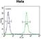 Cytidine/Uridine Monophosphate Kinase 2 antibody, GTX53527, GeneTex, Flow Cytometry image 