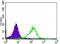 WD Repeat Domain 66 antibody, NBP2-37381, Novus Biologicals, Flow Cytometry image 