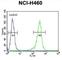 CD2 Cytoplasmic Tail Binding Protein 2 antibody, abx026005, Abbexa, Western Blot image 