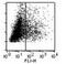 Toll Like Receptor 8 antibody, DDX0481P-100, Novus Biologicals, Flow Cytometry image 