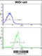 Exportin 1 antibody, 62-402, ProSci, Flow Cytometry image 