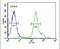 RNA Binding Motif Protein 24 antibody, PA5-25520, Invitrogen Antibodies, Flow Cytometry image 