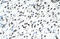 Homeobox protein Hox-B9 antibody, 27-654, ProSci, Western Blot image 
