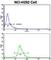 Kinesin Family Member 3C antibody, abx033419, Abbexa, Western Blot image 