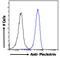 Pleckstrin antibody, 46-201, ProSci, Immunohistochemistry paraffin image 