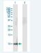 Hepatocellular Carcinoma, Down-Regulated 1 antibody, H00641654-B01P-50ug, Novus Biologicals, Western Blot image 